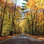 Fall colors along scenic M-119, the famous "Tunnel of Trees". (Photo: Jeremy Hammond)