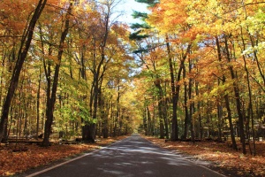 Fall colors along scenic M-119, the famous "Tunnel of Trees". (Photo: Jeremy Hammond)