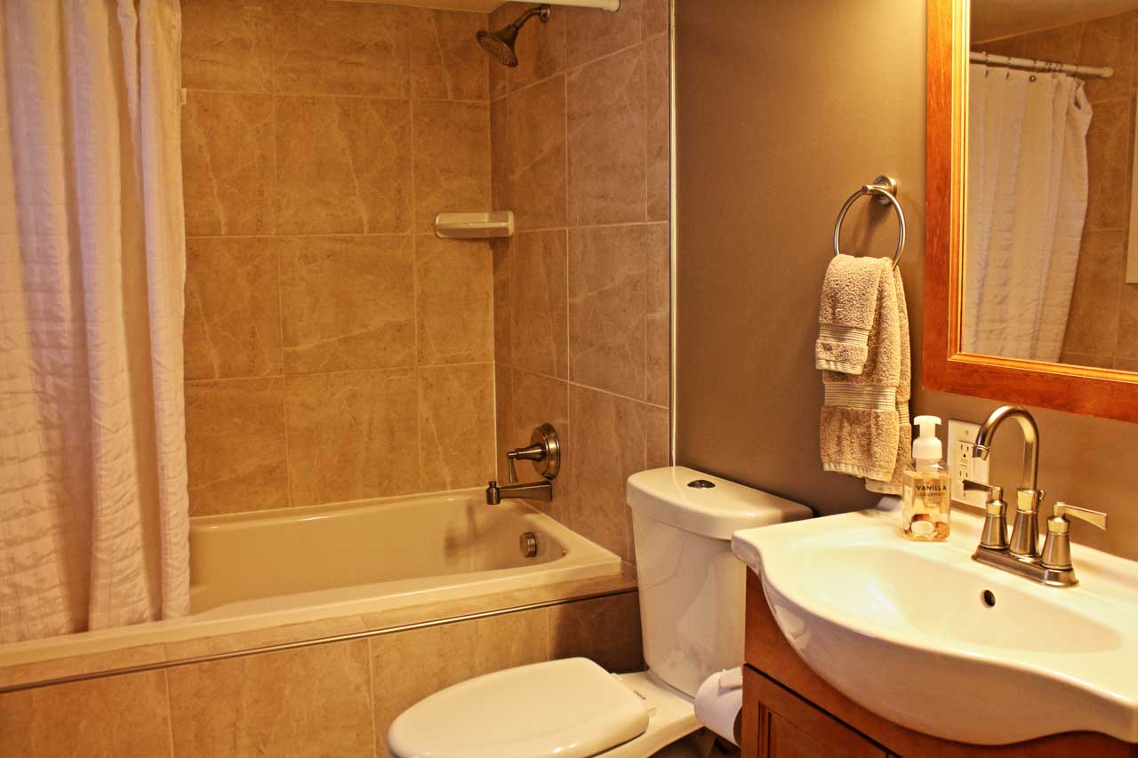 Petoskey Grove bathroom
