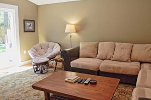 Petoskey Grove living room