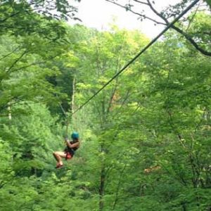 Zip Line at Wildwood Rush