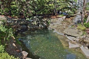LeBear Resort - pond