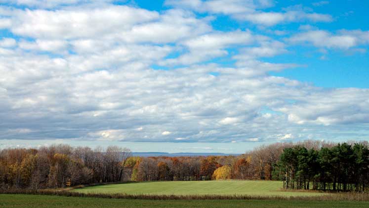 Goodhart Farms Nature Preserve | Northern Michigan Nature Preserves