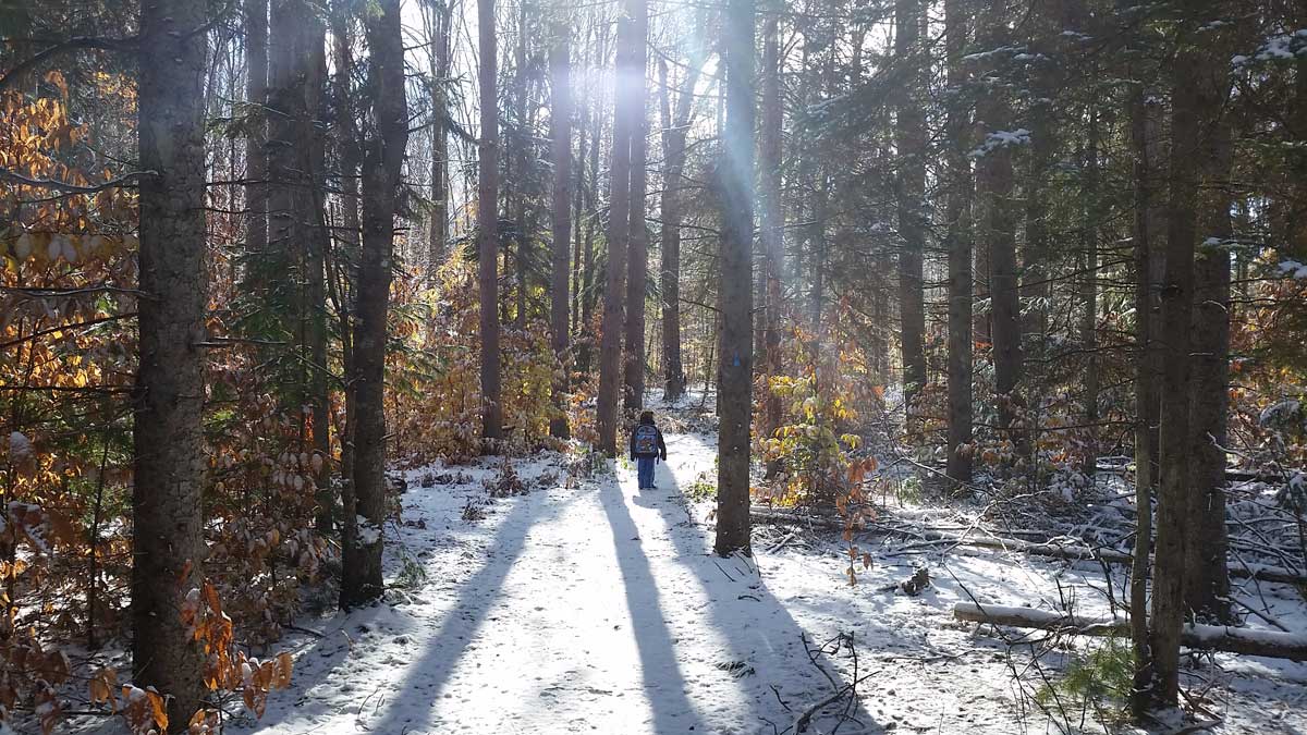 McCune Nature Preserve | northern Michigan nature preserves