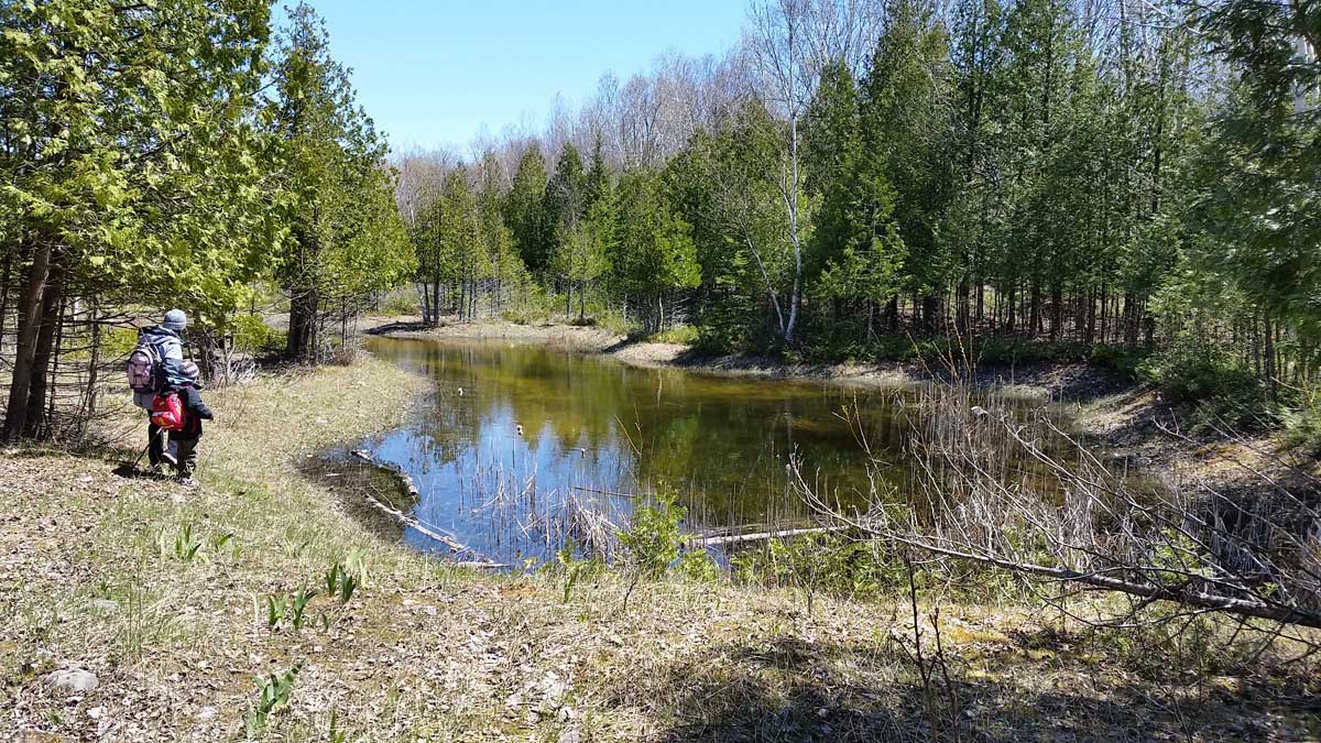 Susan Creek Nature Preserve | Northern Michigan Nature Preserves