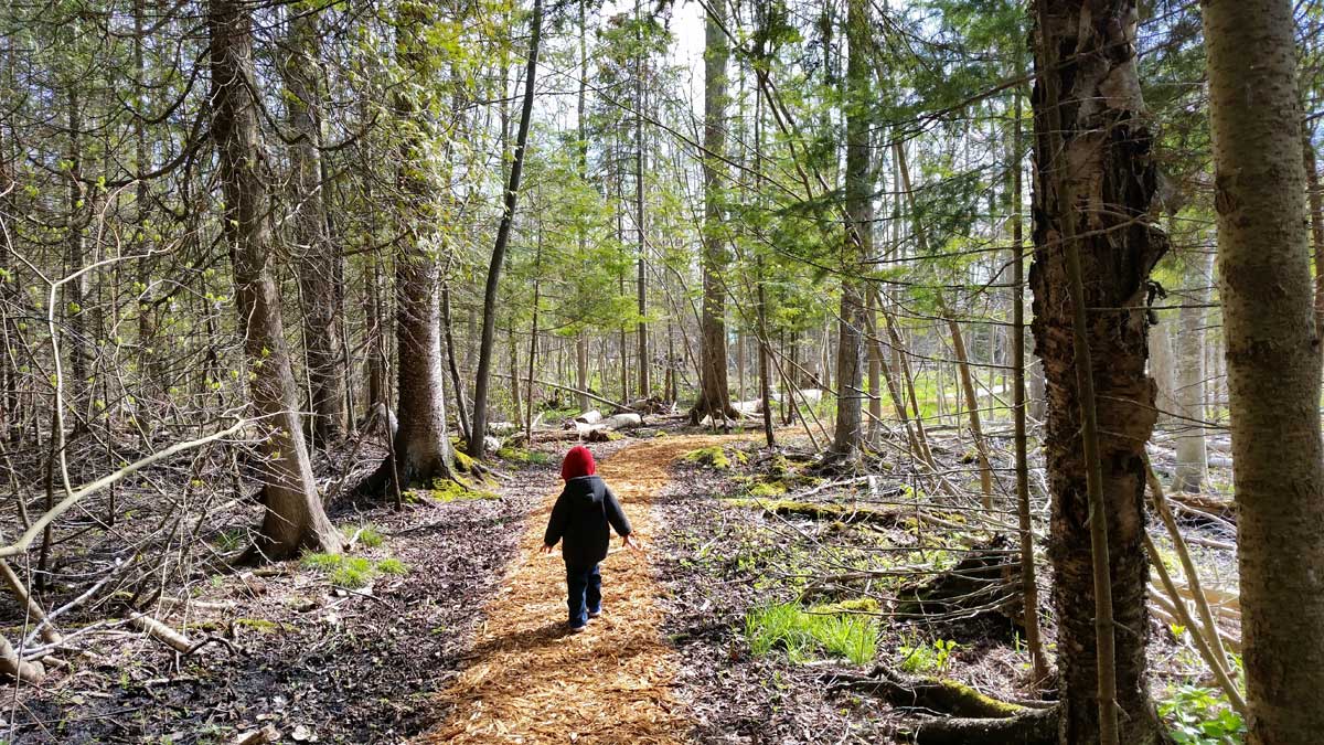 Thorneswift Nature Preserve | northern Michigan nature preserves