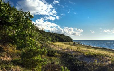 Top 15 Northern Michigan Nature Preserves for Family Nature Hikes