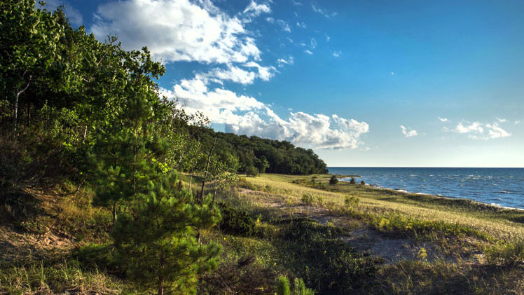 Top 15 Northern Michigan Nature Preserves for Family Nature Hikes