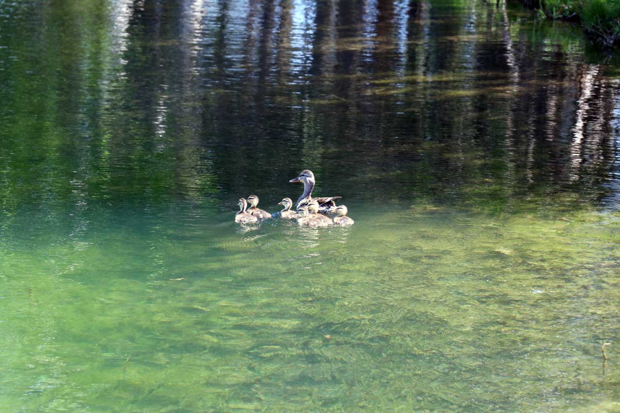 Birchwood Farms Golf & Country Club