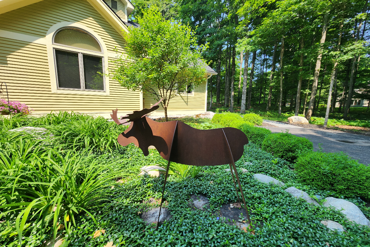 Dancing Moose Holiday Vacation Rentals